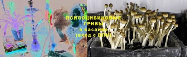 стафф Михайловка