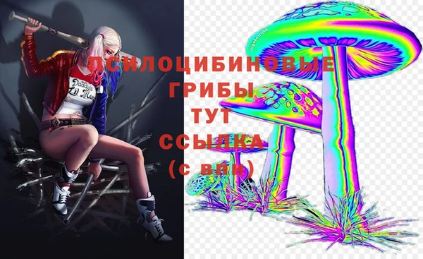 хмурый Мегион