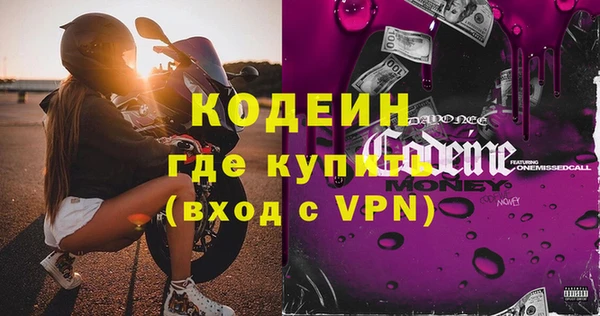 хмурый Мегион