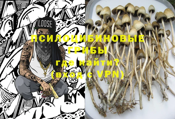 хмурый Михайлов